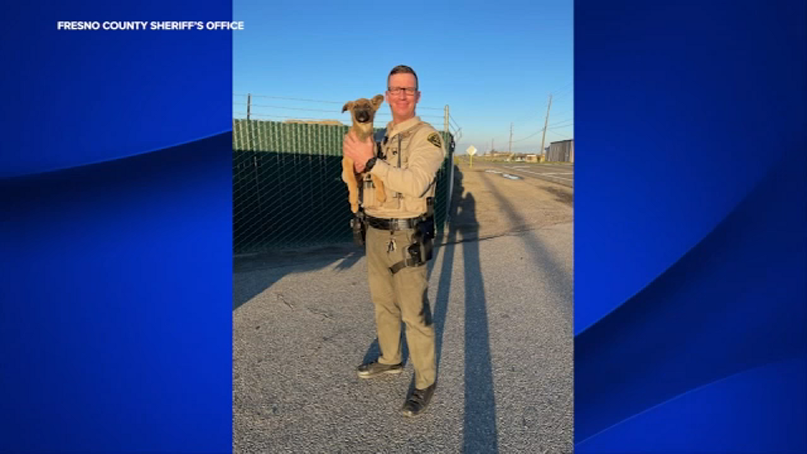 Deputy saves puppy running across road in Fresno County - ABC30 Fresno