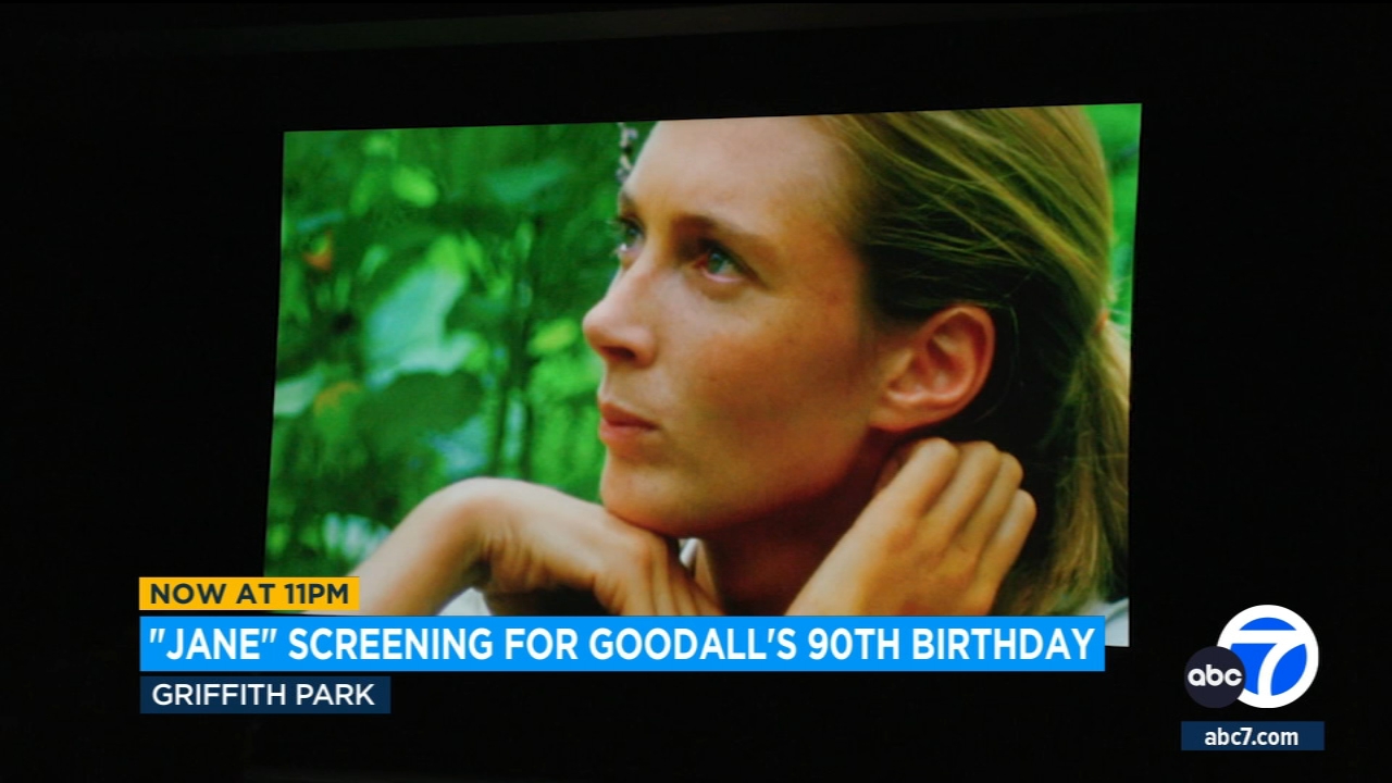 'Jane' screening held in Los Angeles for Jane Goodall's 90th birthday