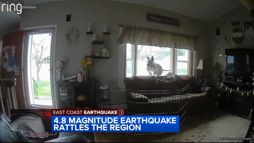Viewer videos capture the moment earthquake shook the region