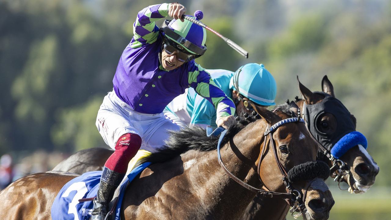 Stronghold edges Bob Baffert's favored Imagination to win Santa Anita Derby, earns Kentucky Derby berth - Vimarsana News
