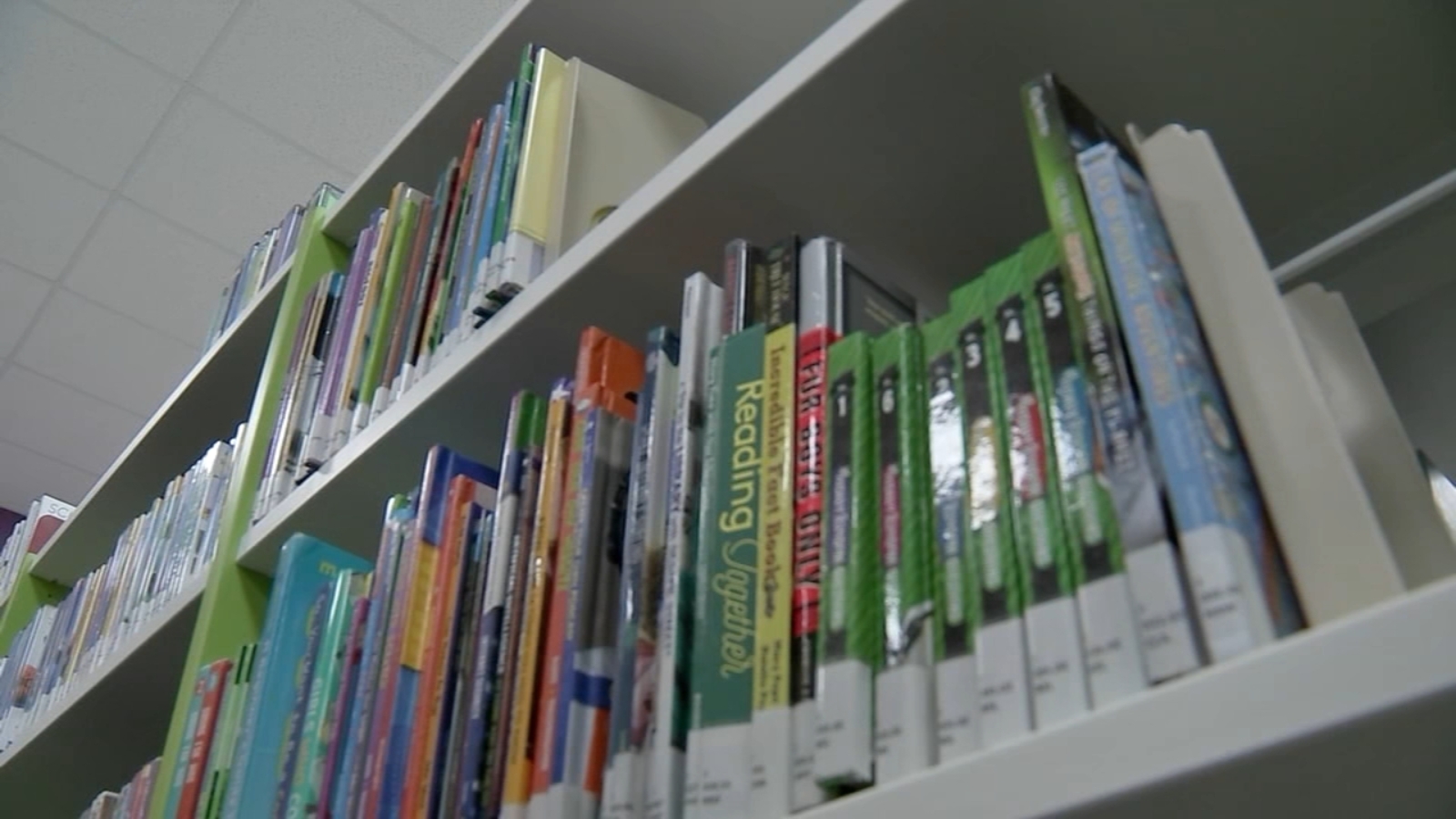 Fort Bend ISD library books could be removed by superintendent if