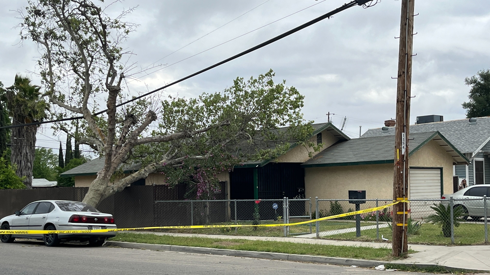 Spring rain hits Central California, causes trees and power lines to fall