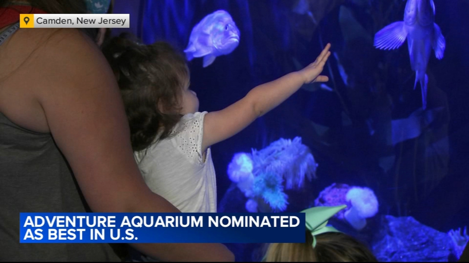 Adventure Aquarium in Camden, New Jersey, in running to be among top in