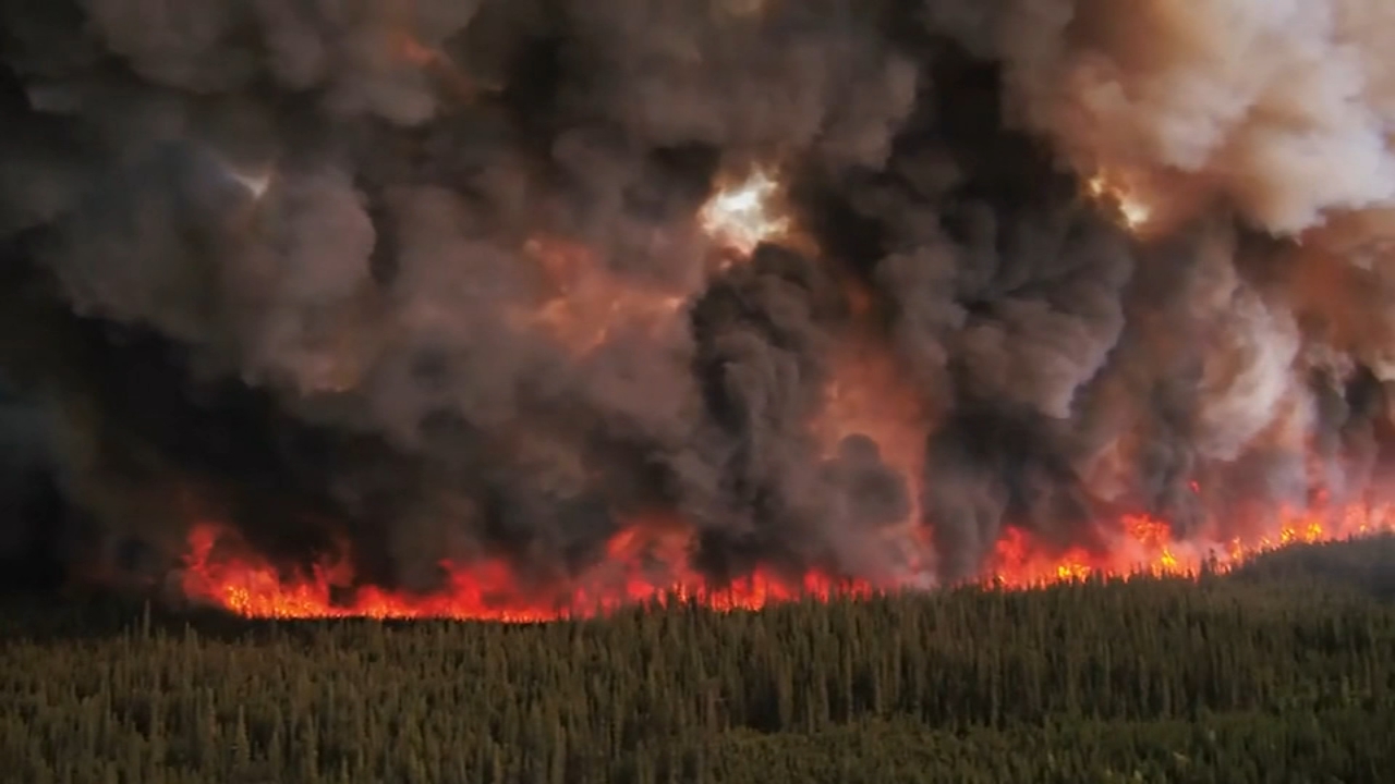 How climate change is connected to wildfire smoke pollution
