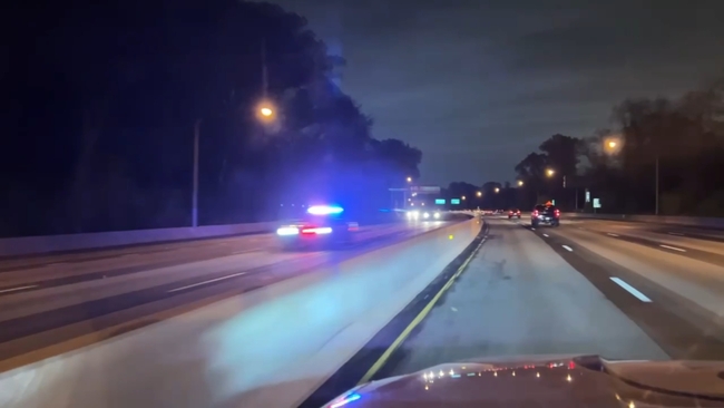 2 arrested after carjacking, police chase ends with crash in ...