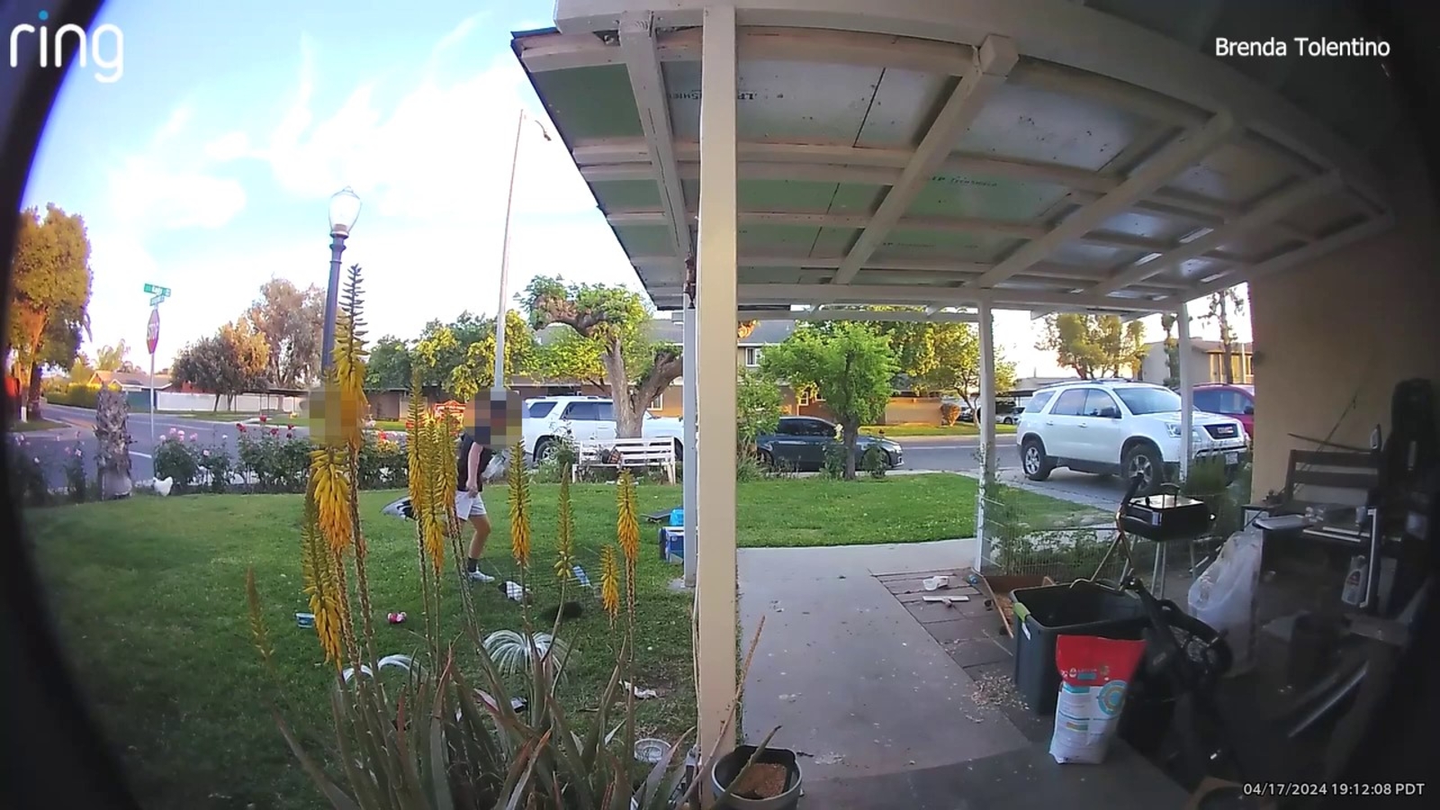 Child captured on video kicking guinea pig in Reedley, owner says animal died