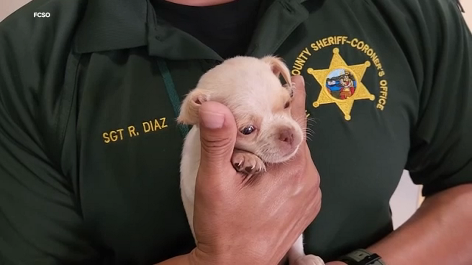 Fresno County correctional officer rescues puppy, finds her new home