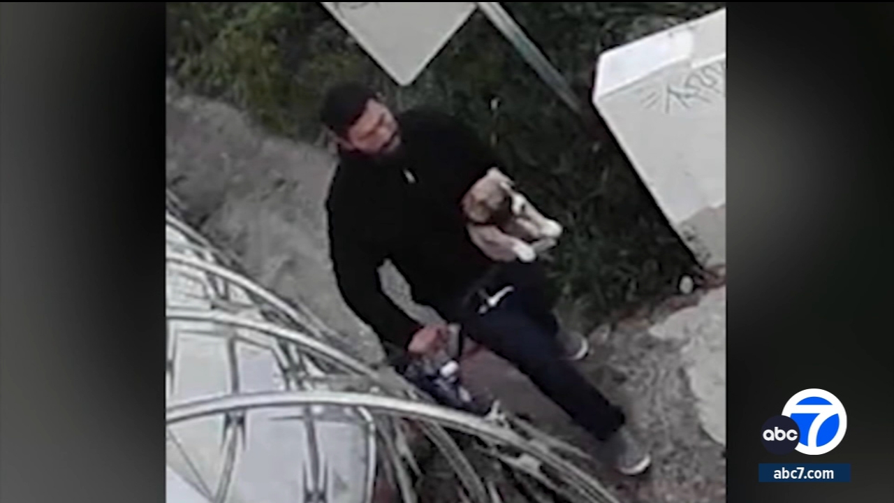 Suspect arrested in dog abuse caught on camera in Anaheim