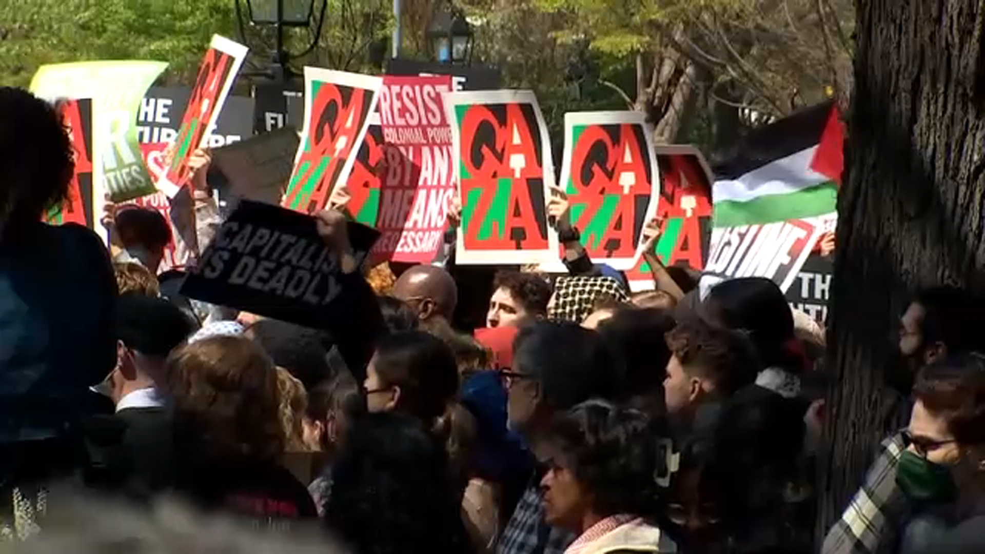 Hundreds of pro-Palestinian protesters gather in Washington Square Park
