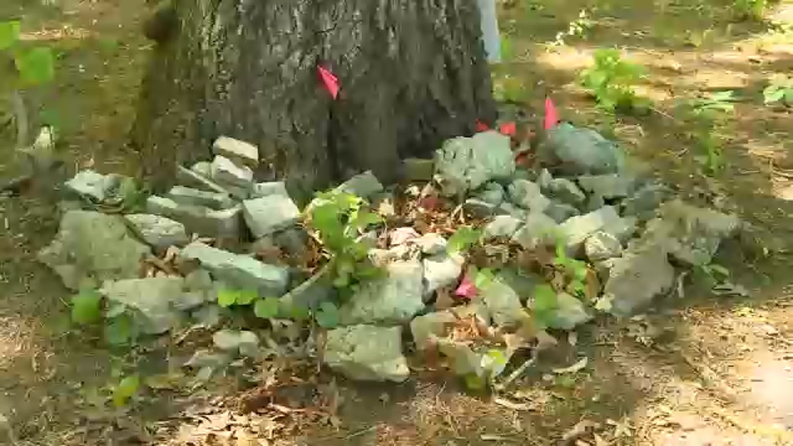 Knightdale community raising funds for historical marker at long