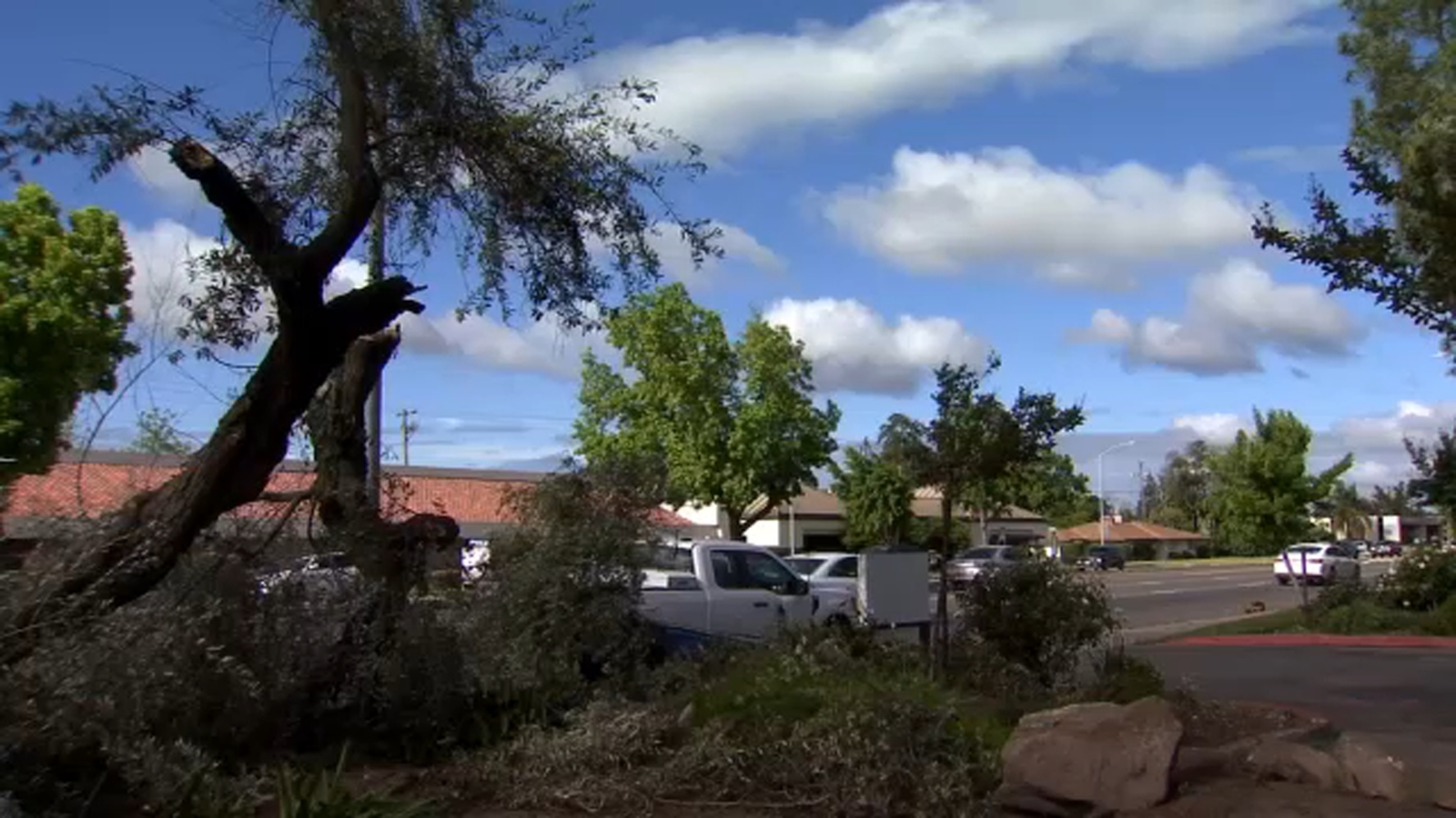 Man killed in single-car crash in northwest Fresno, police say