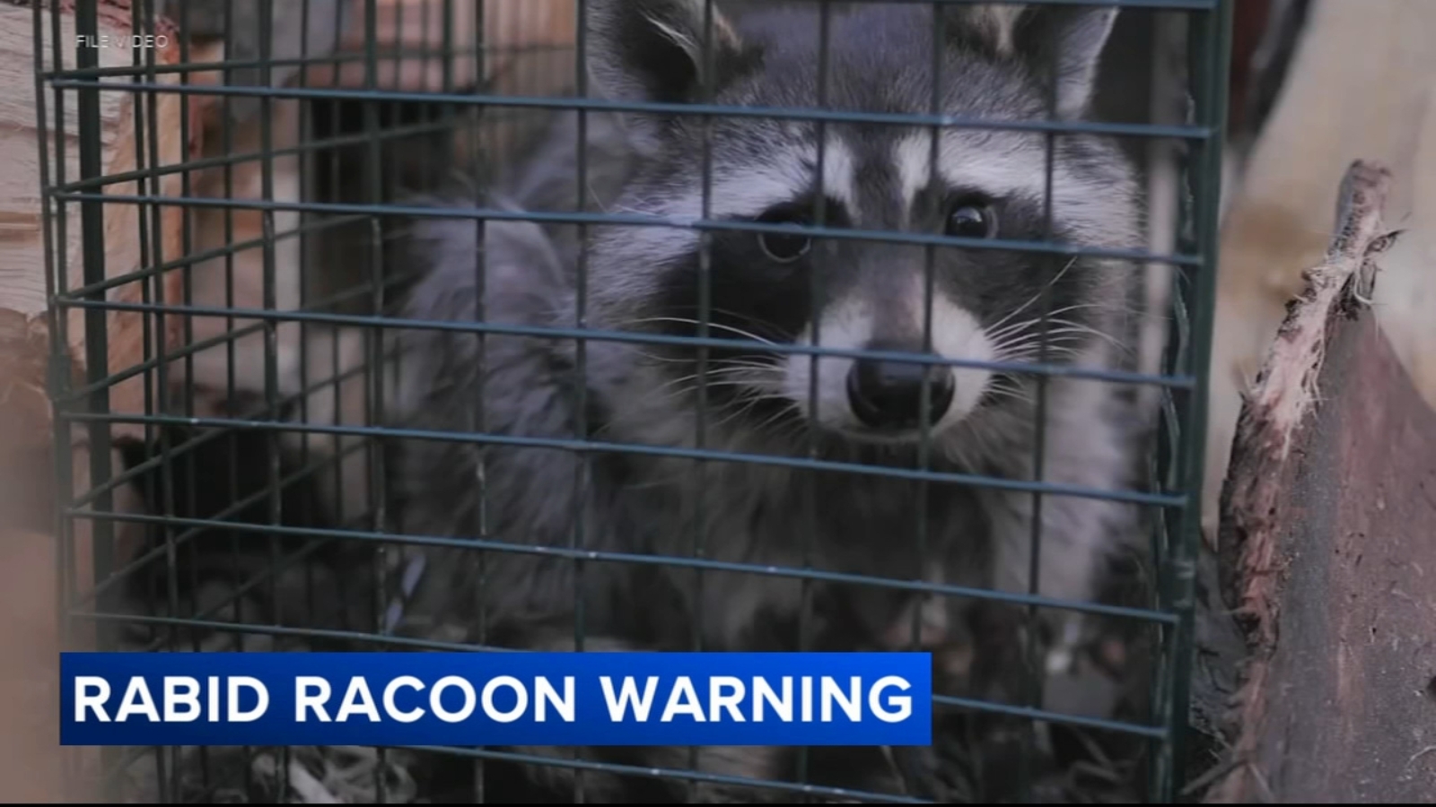 Streamline Health – TittlePress