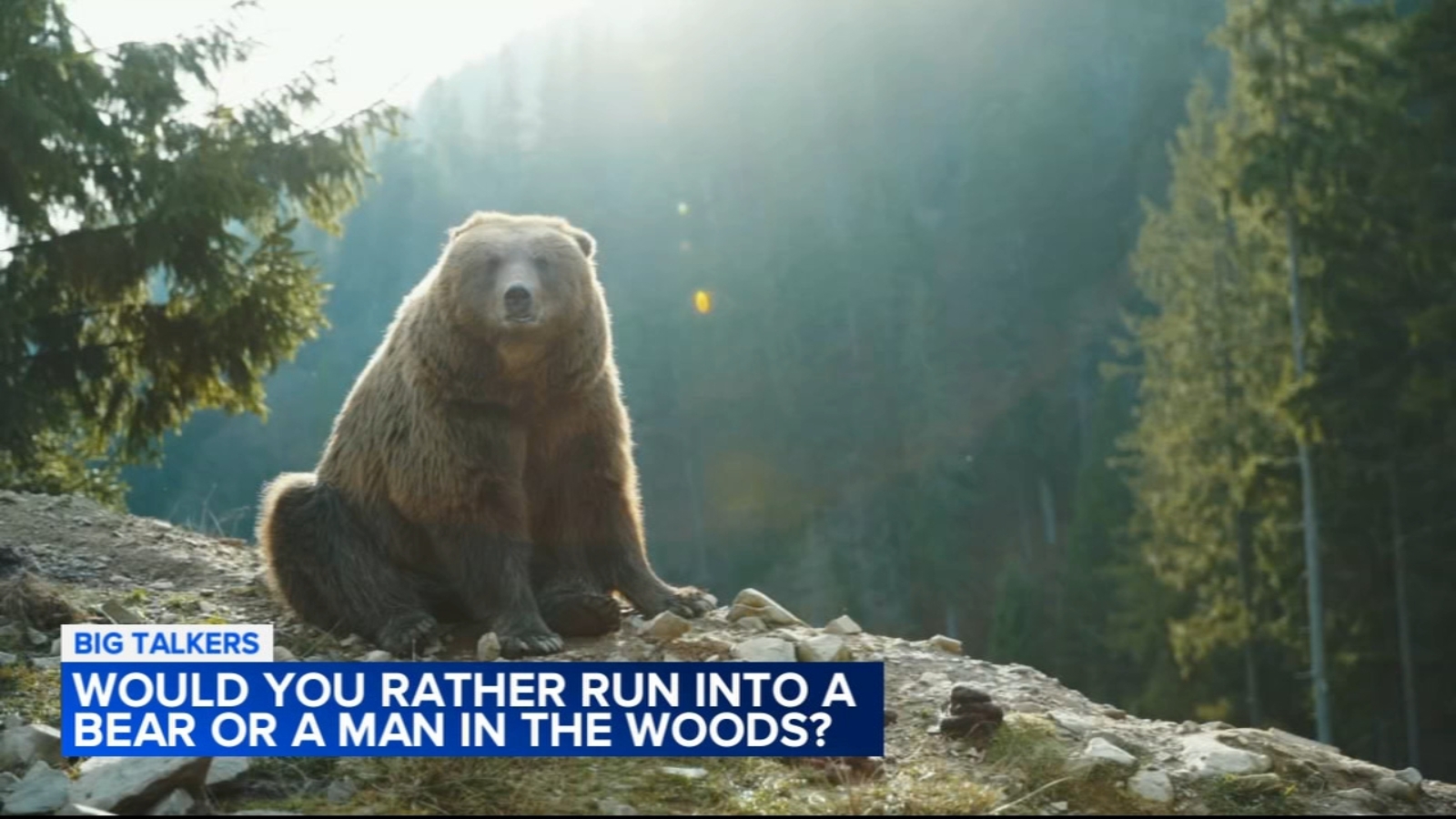 Viral debate Women asked if they would rather run into a bear or a man