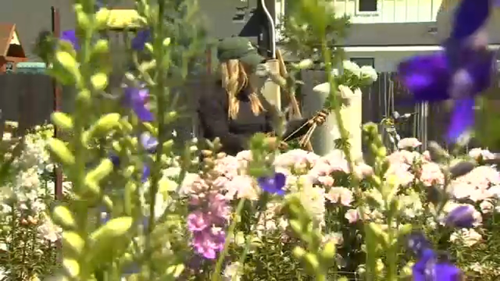 This Valley farm looks to add beautiful flowers to your home