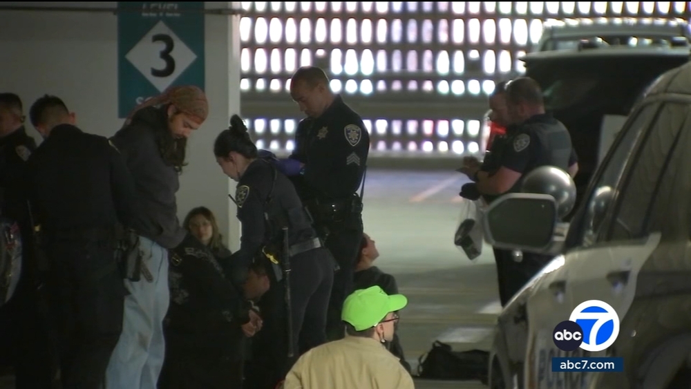 UCLA shifts classes to remote as more protesters arrested on campus
