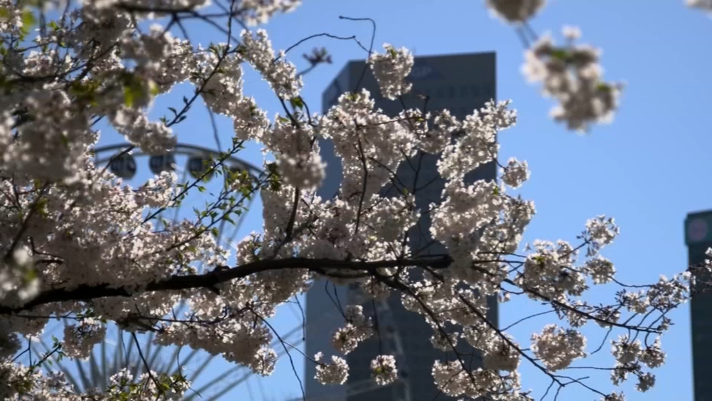 
Managing seasonal allergies