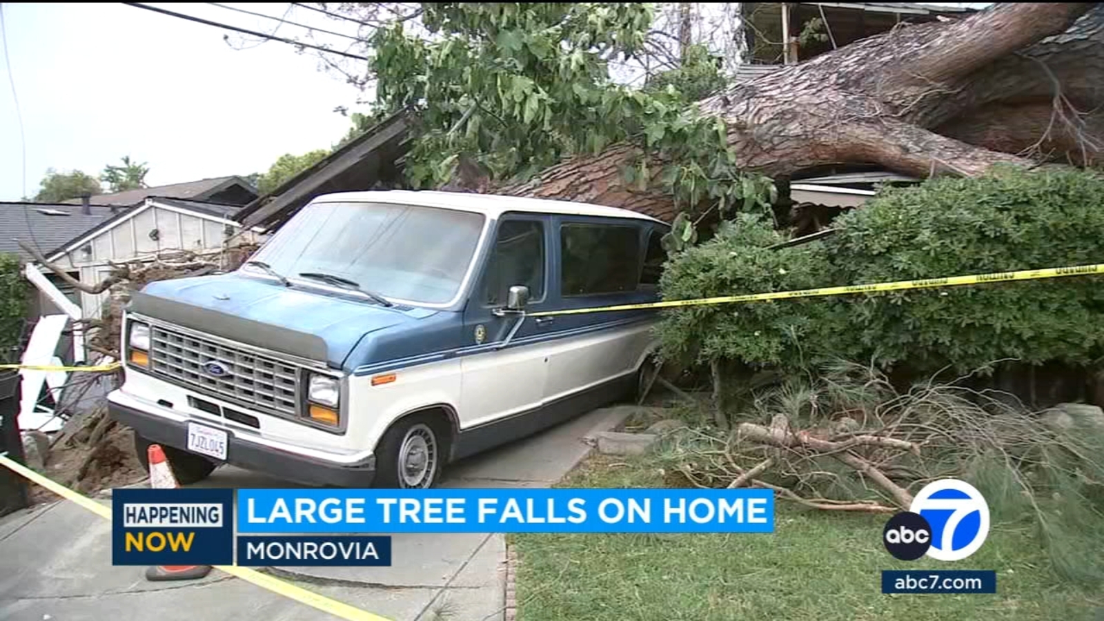 Large tree falls on top of home on Mountain Avenue in Monrovia - ABC7 ...