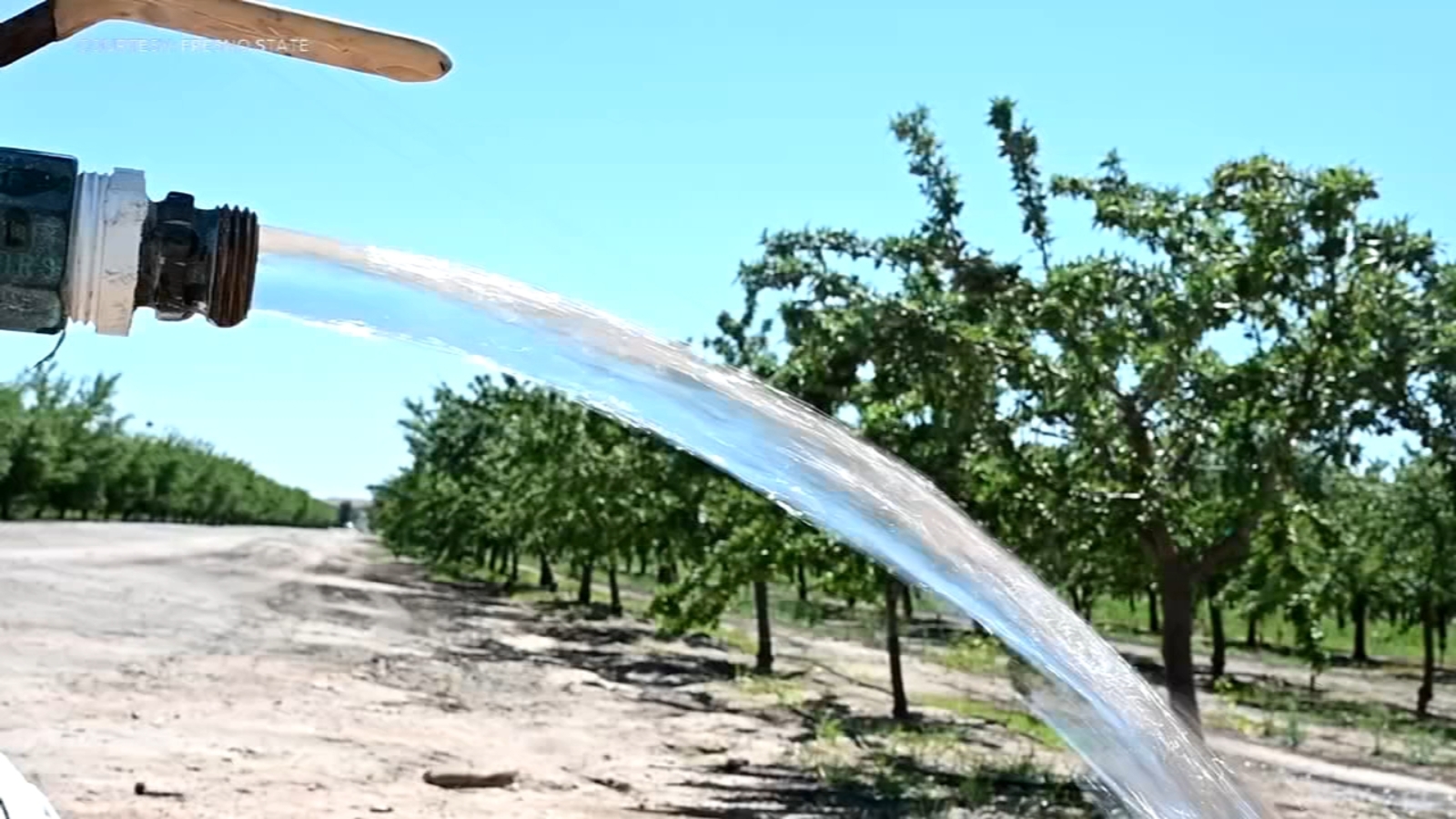 Fresno State offers new minor focused on water