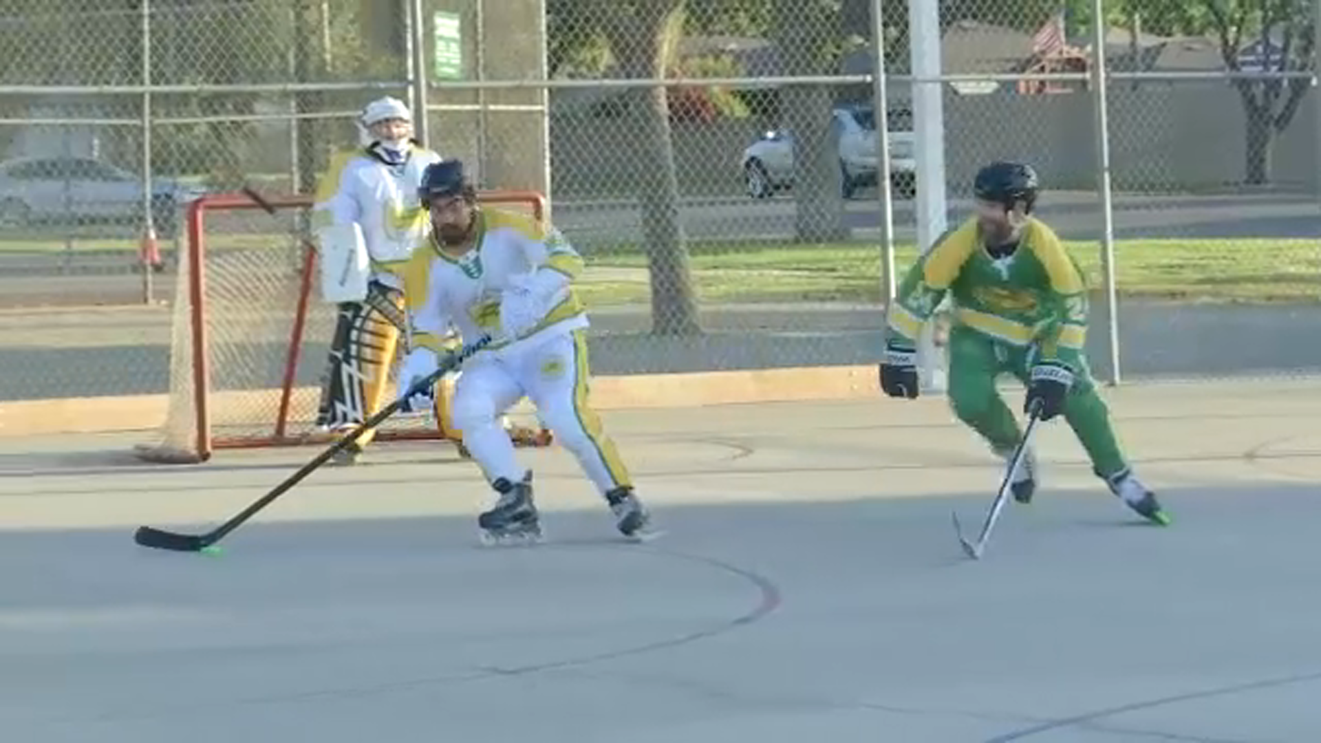 Good Sports: The return of the Fresno Falcons