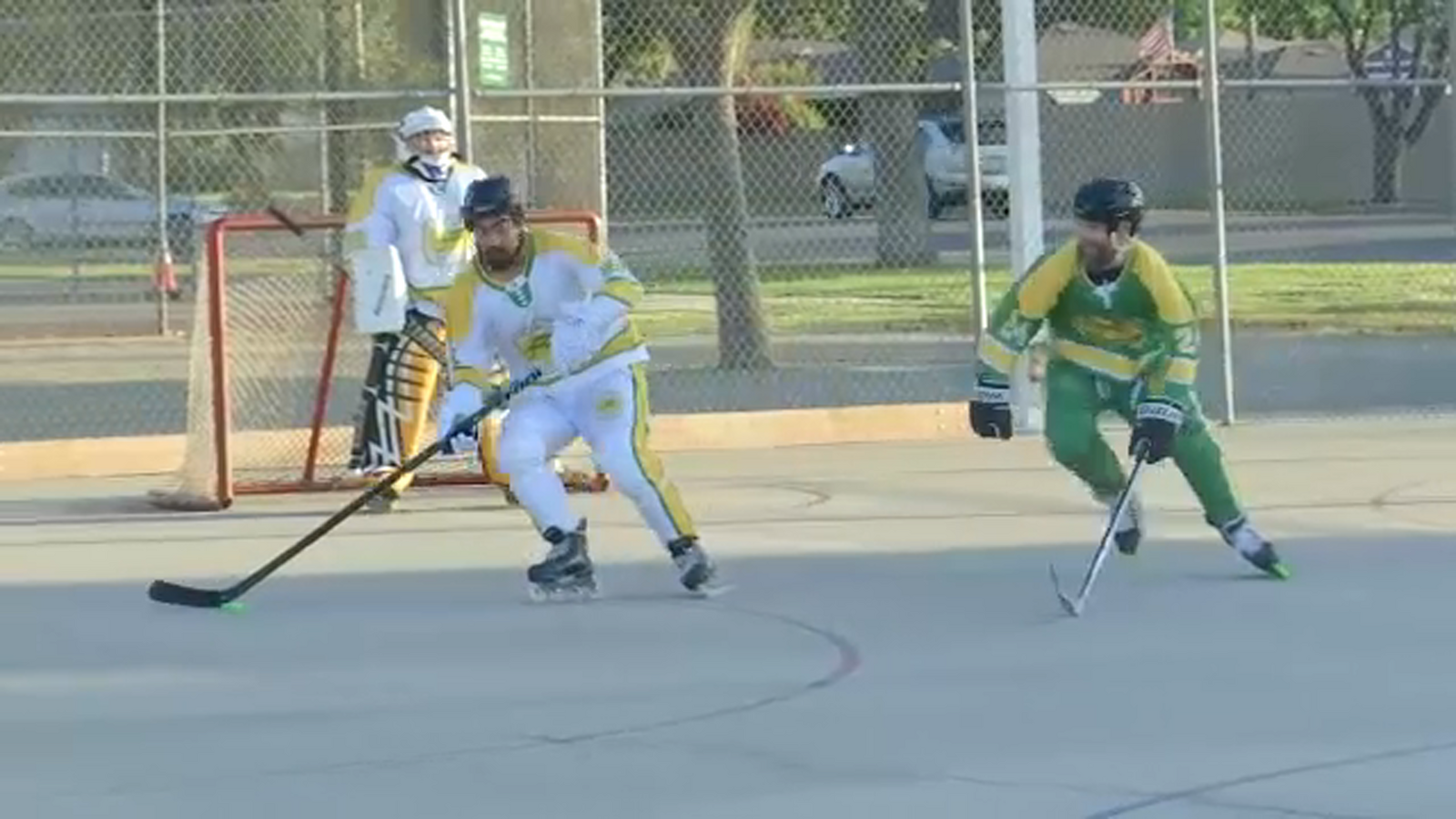 Good Sports: The return of the Fresno Falcons