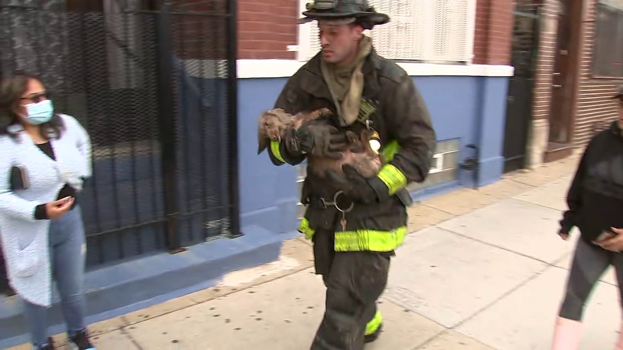 Woman seriously injured in SW Side fire; man, dog also hurt: CFD