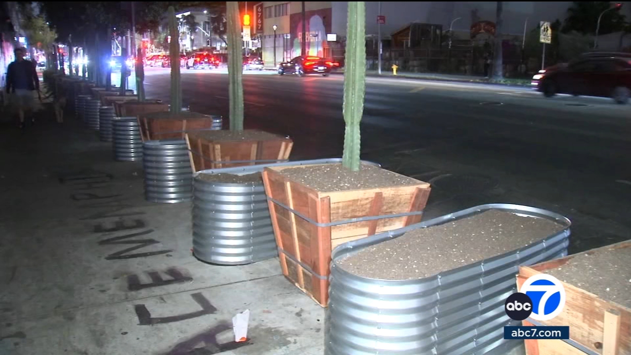 Hollywood businesses set up garden beds, planters to clear tents