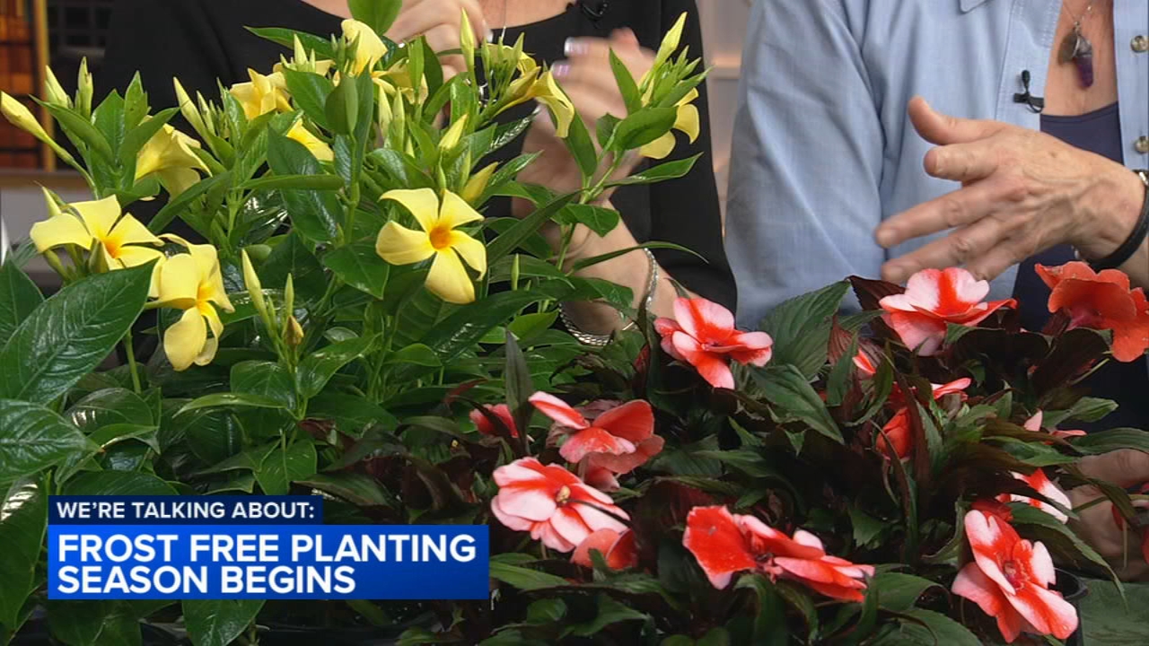 Frost-free planting season begins May 15