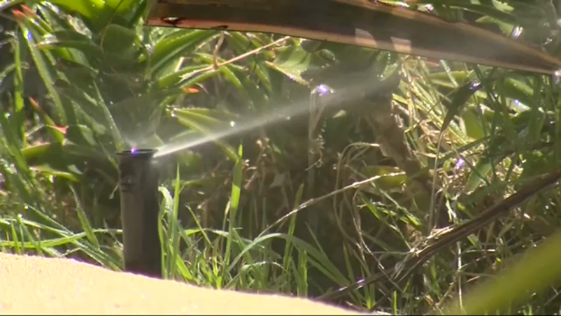 Fresno to issue  1,505 Smart irrigation controllers to residents