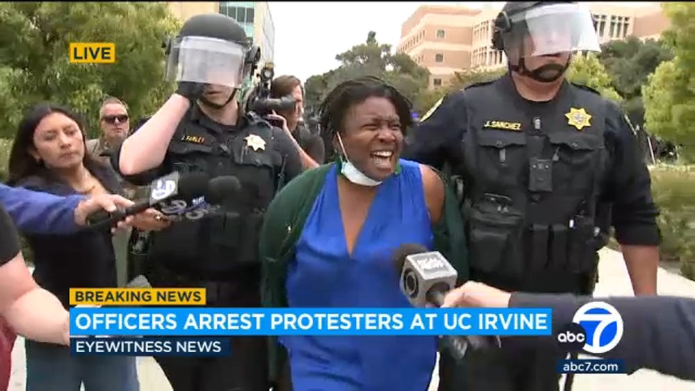 UC Irvine professor detained at pro-Palestinian protest speaks out