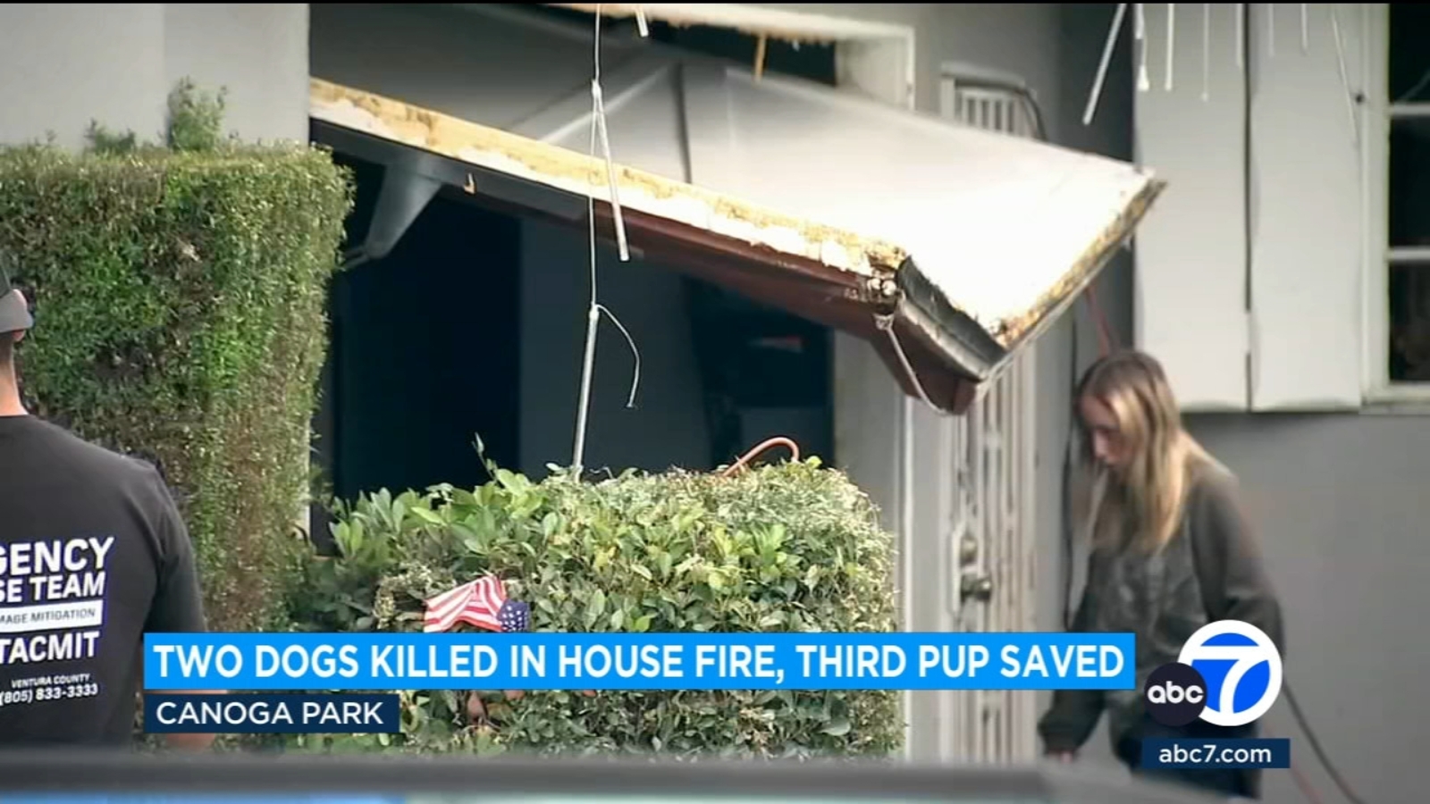 2 dogs killed, another rescued after fire erupts at Canoga Park home ...