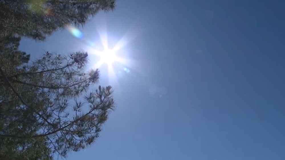 Signs of heat stroke: How to spot them as temperatures rise in Houston