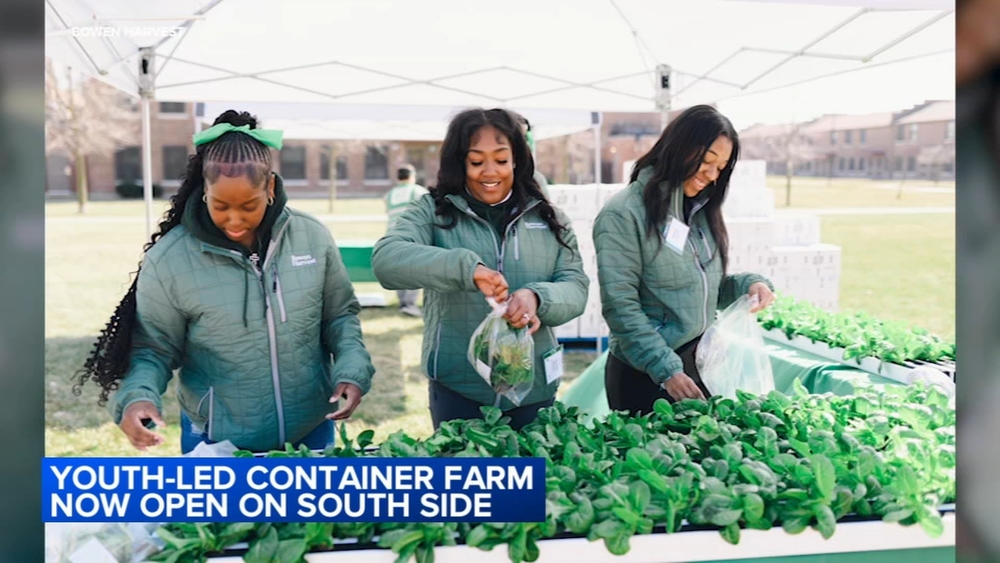 Shipping container helps bring produce to Far South Side food desert