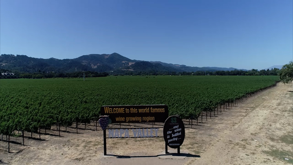 What impact will climate change have on the wine industry by 2050?