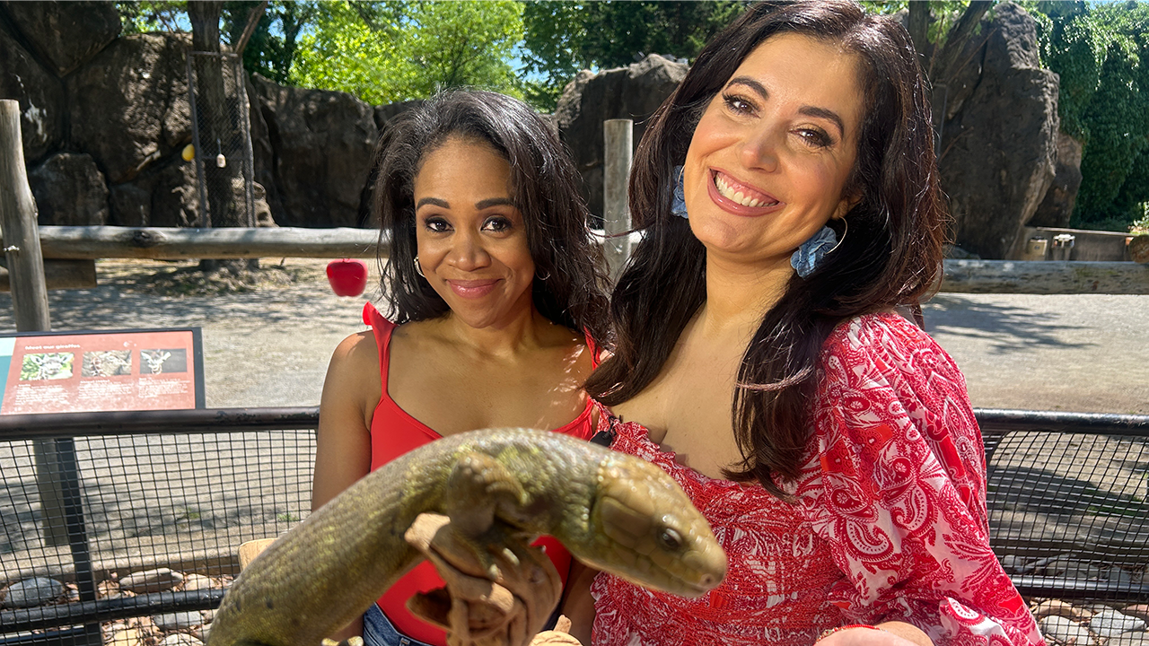 FYI Philly visits Yanaga Kappo, fun at the Zoo | May 25 show