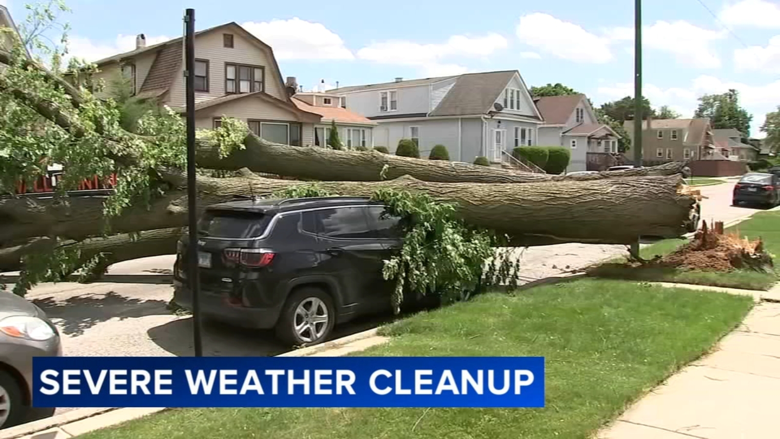 Chicago weather: Storms topple trees, knock out power across Chicago ...