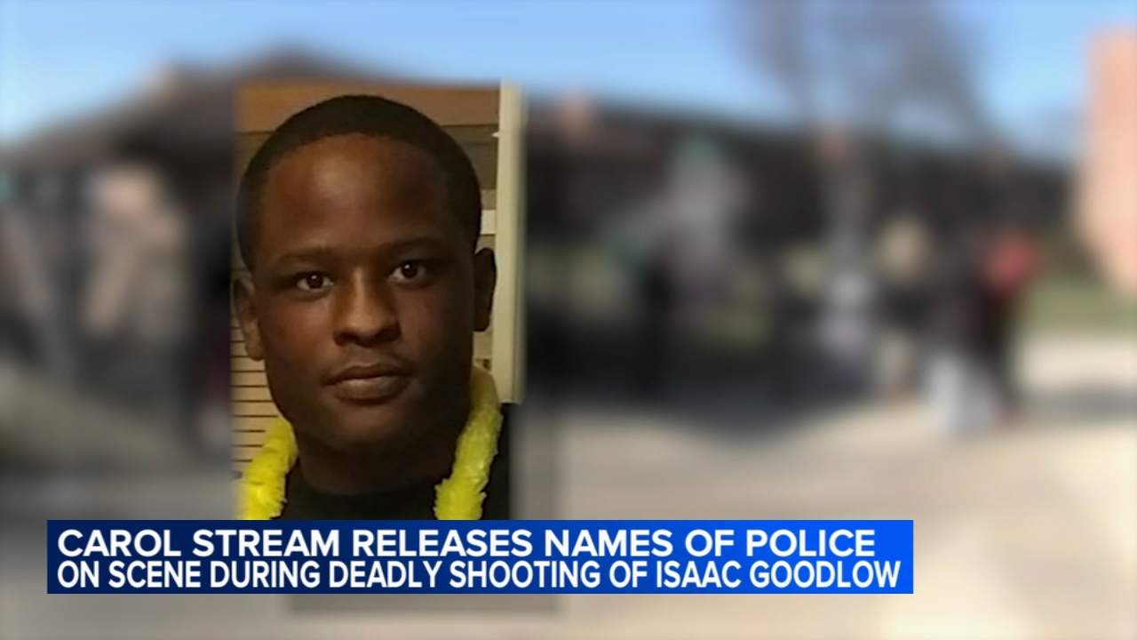 Carol Stream officers on scene during deadly police shooting named