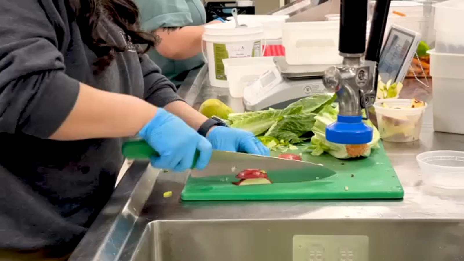 Behind-the-scenes look of Fresno Chaffee Zoo's Nutrition Center