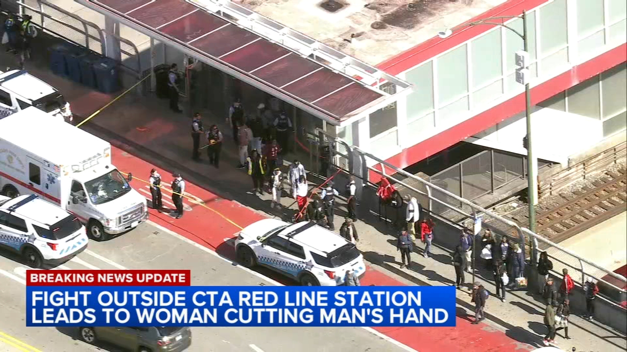 Man stabbed, critically injured near South Side CTA station: CPD
