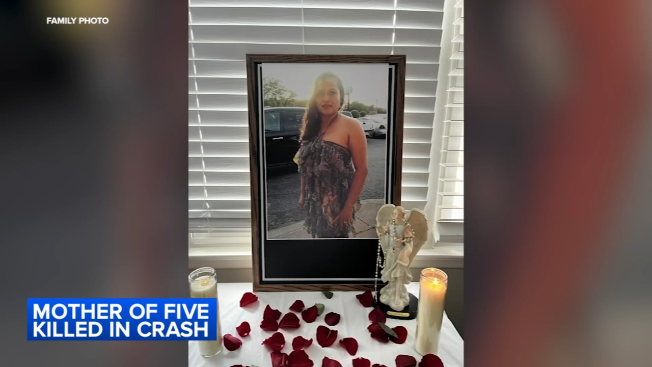 Mother killed in Elk Grove Village crash ID'd; several injured