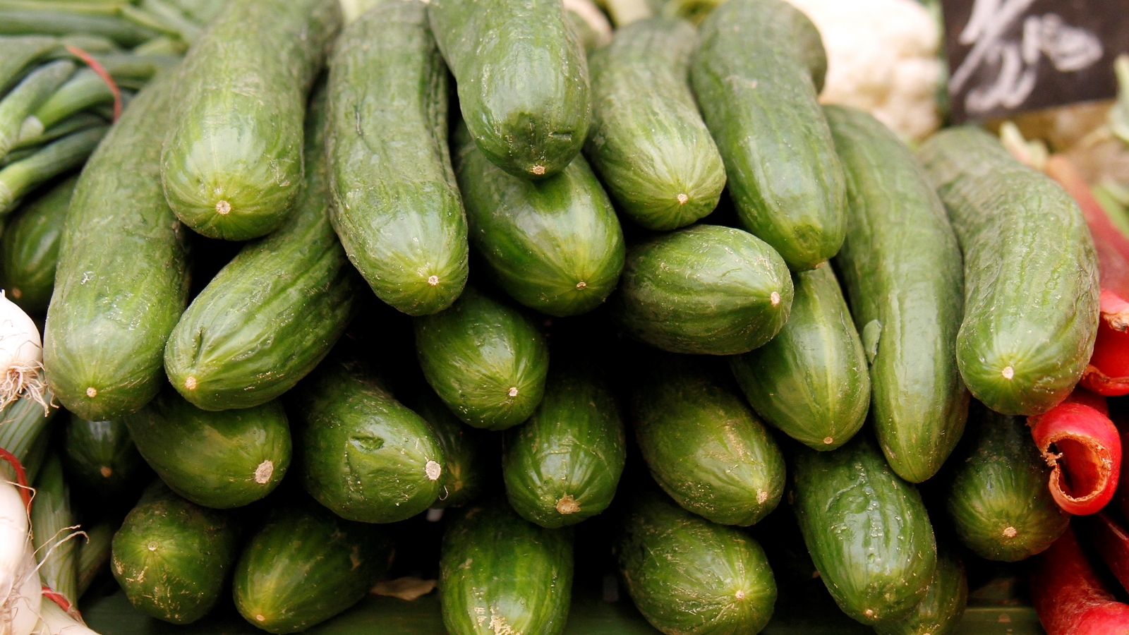 Whole, fresh cucumbers sold in 14 states, including Pennsylvania and