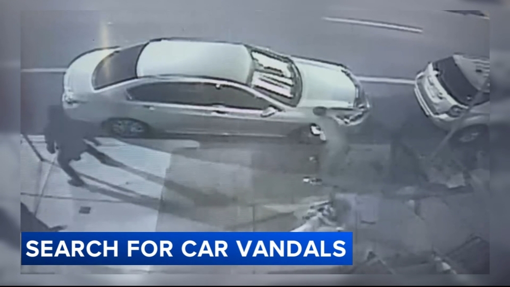 Video captures vandals slashing tires in Philadelphia