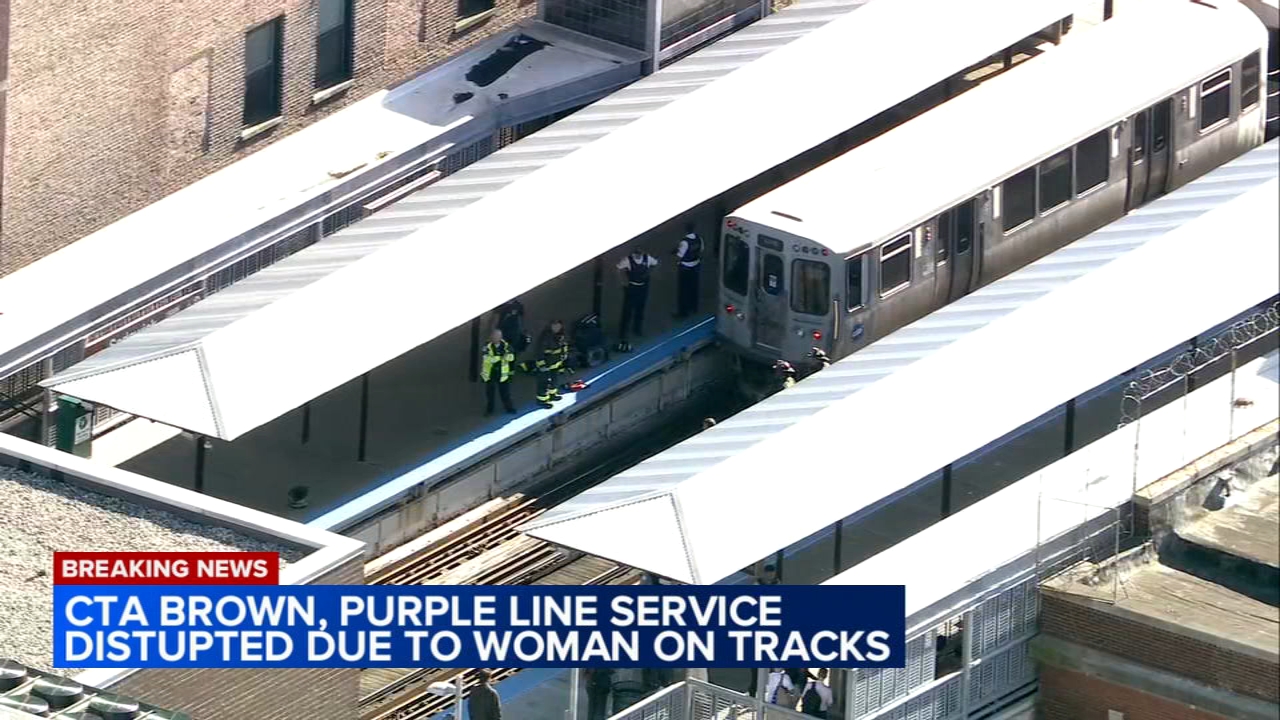 CTA Brown, Purple Line train service disrupted for person on tracks