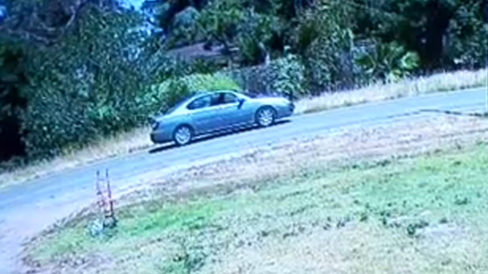 Arsonist wanted for setting series of grass fires across Fresno, officials say