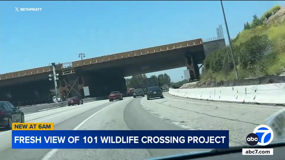Dashcam offers fresh view of wildlife crossing project over 101 Fwy