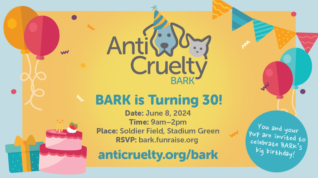 Anti-Cruelty's BARK event returns to the lakefront celebrating 30 years - Vimarsana News