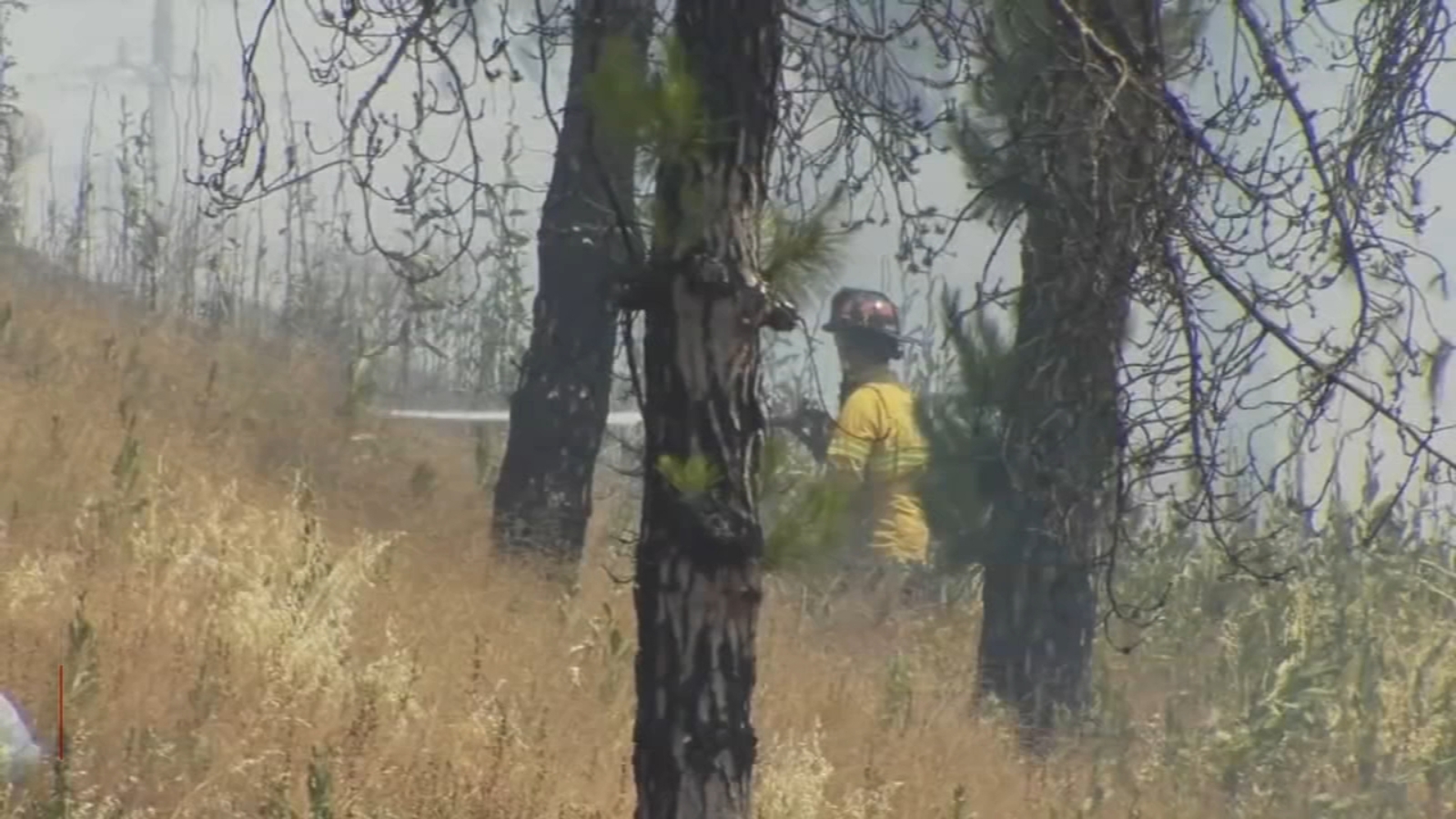 Fresno budget proposals raise concerns about fire funding and response