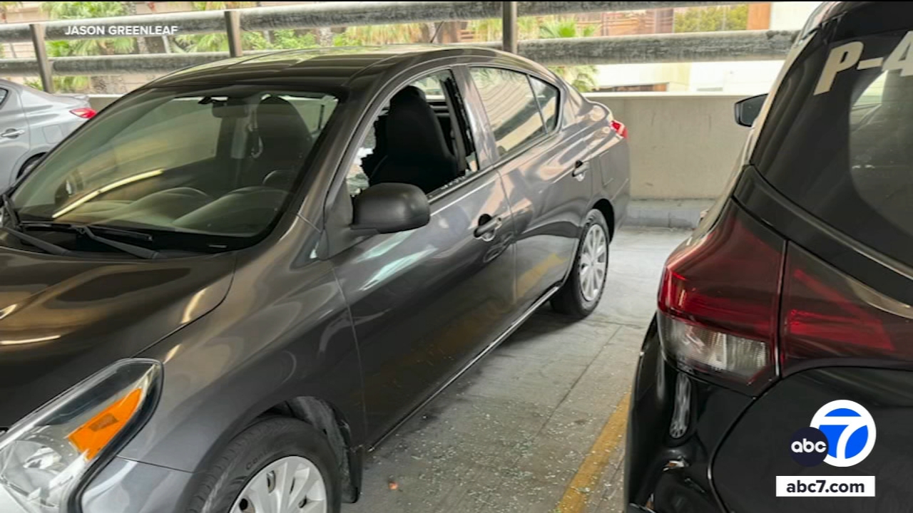 Vandalism suspect arrested after Long Beach businesses, cars damaged