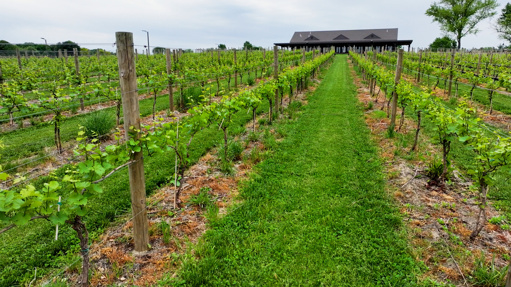 Saddlehill Winery turns historic property into a wine experience
