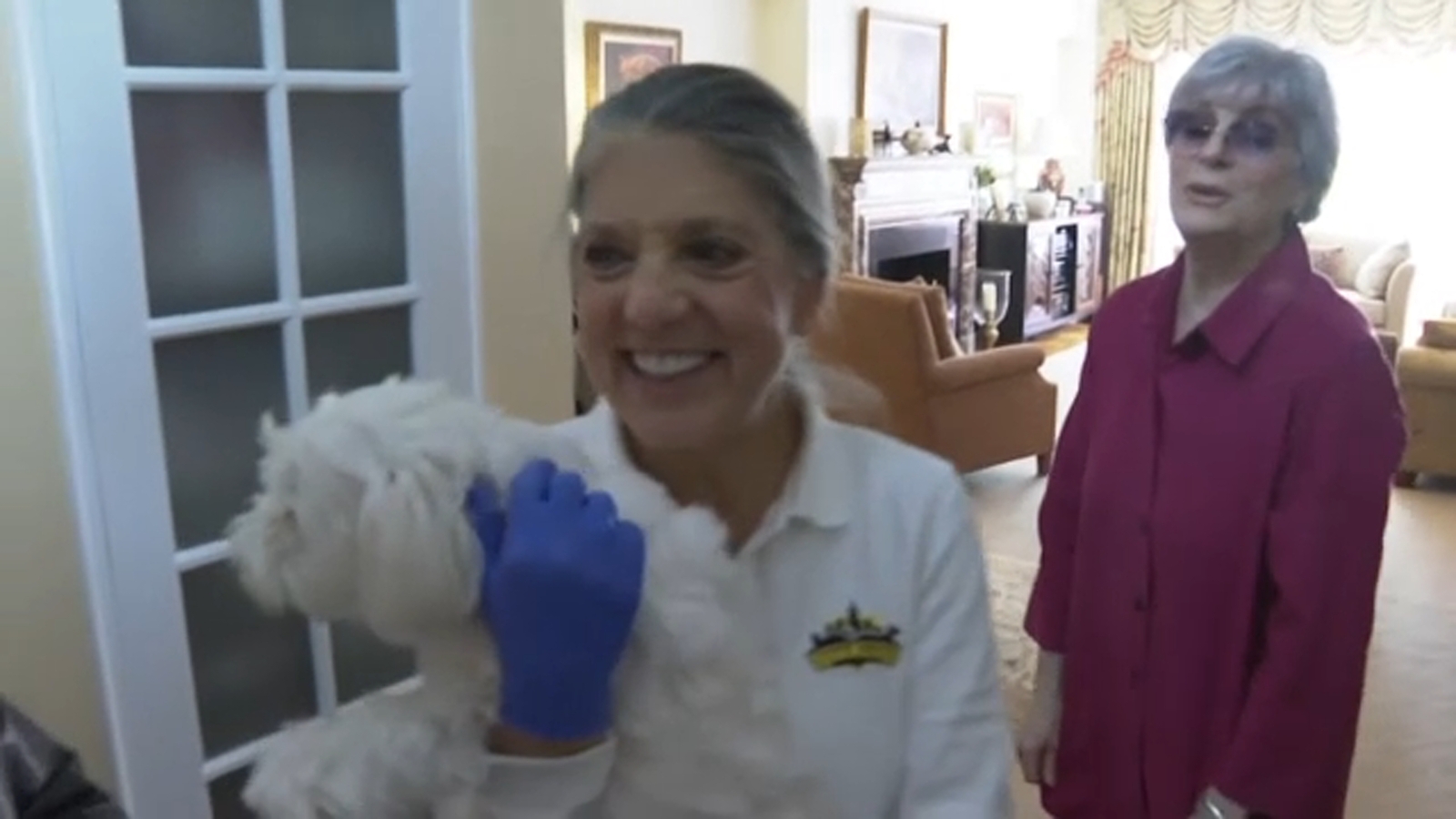 NYC veterinarian tells all in new memoir after 3 decades of house calls