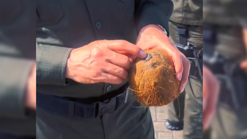 Colombian police seize 388 pounds of cocaine hidden in coconuts